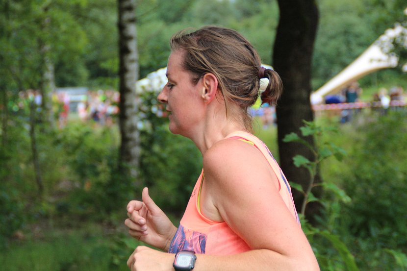 estafette deel 3 - 2017 - 370